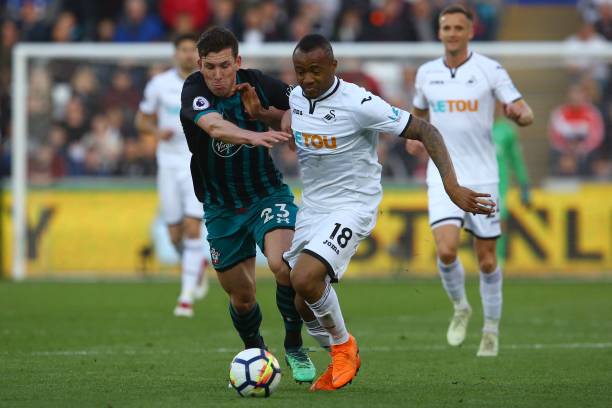 不可或缺的 不可或缺的