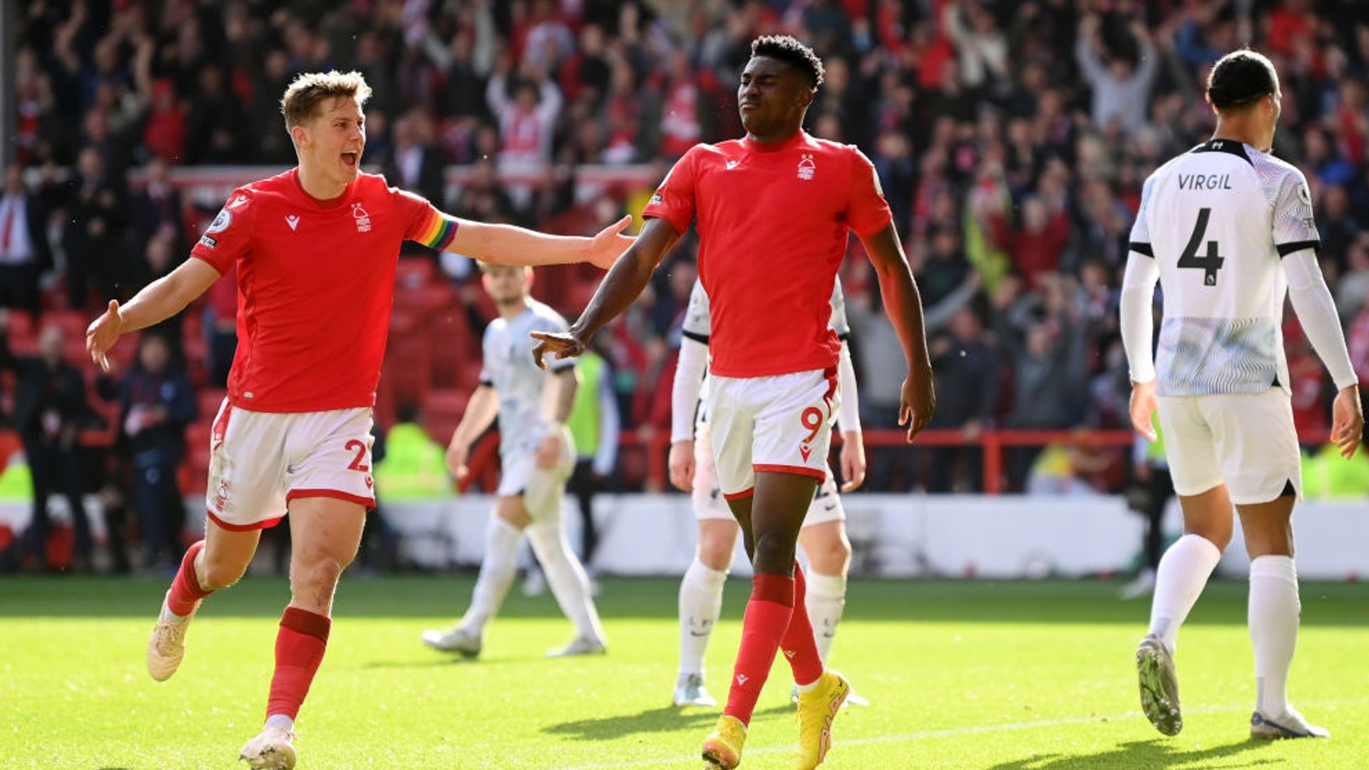 但其顽强的 但其顽强的