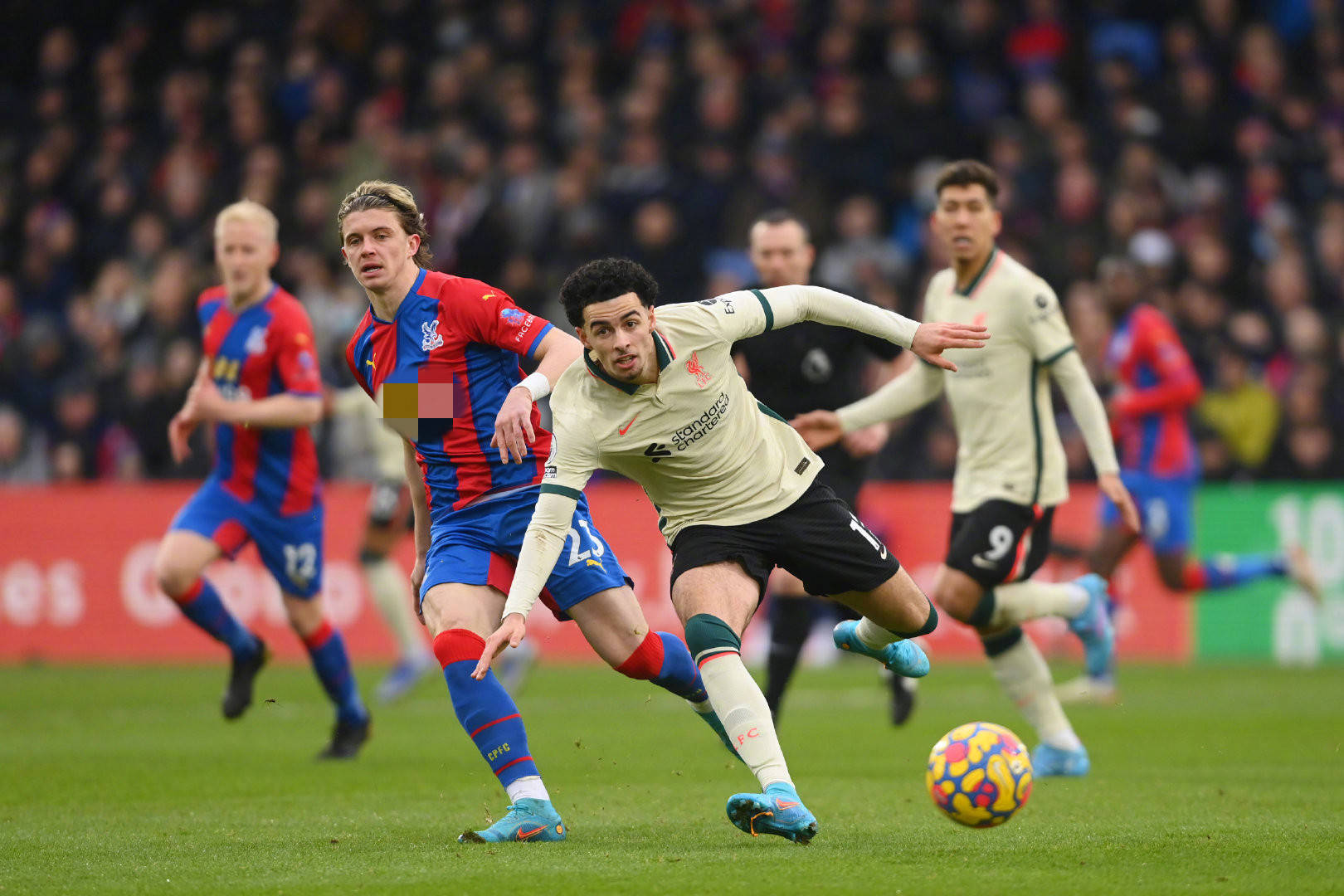 也引发了我 也引发了我